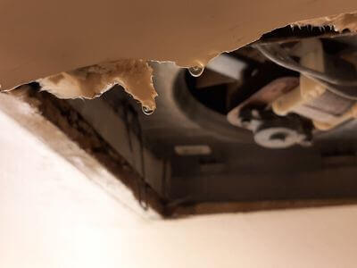 Professional water damage restoration services in North Miami